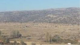 Ankara Elmadağ Tatlıca Mahallesi Milli Emlak'tan Satılık 513,00 m2 Arsa