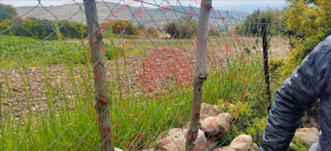 Manisa Saruhanlı Çaltepe Mahallesi Milli Emlak'tan Satılık 368,00 m2 Tarla