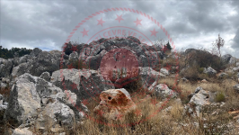 Konya Beyşehir Üzümlü Kasabası Milli Emlak'tan Satılık 452,22 m2 Arsa