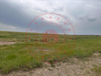 Kayseri Tomarza İncili Mahallesi Milli Emlak'tan Satılık 5.189,12 m2 Tarla