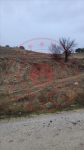 Burdur Merkez Kozluca Köyü Milli Emlak'tan Satılık 1.608,00 m2 Tarla