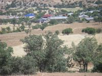 Erzincan Kemaliye Topkapı Köyü Milli Emlak'tan Satılık 19.143,97 m2 Tarla