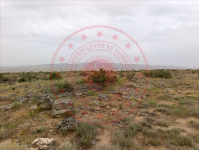 Nevşehir Gülşehir Eğrikuyu Köyü Milli Emlak'tan Satılık 25.960,49 m2 Tarla