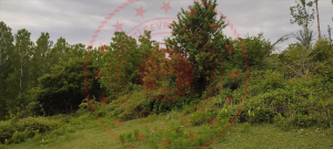 Bartın Merkez Sipahiler Köyü Milli Emlak'tan Satılık 470,92 m2 Tarla