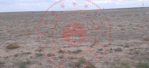 Konya Karatay Suruç Köyü Milli Emlak'tan Satılık 2.860,00 m2 Tarla