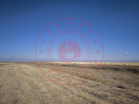 Ağrı Hamur Tükenmez Köyü Milli Emlak'tan Satılık 2.900,80 m2 Tarla