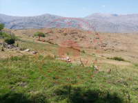 Konya Bozkır Sorkun - Çarşamba Mahallesi Milli Emlak'tan Satılık 739,62 m2 Arsa