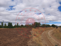 Konya Hüyük Yenice Köyü Milli Emlak'tan Satılık 5.117,47 m2 Tarla