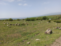 Bingöl Merkez Gözeler Köyü Milli Emlak'tan Satılık 12.581,77 m2 Tarla
