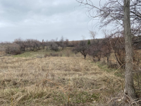 Erzincan Üzümlü Bayırbağ Köyü Milli Emlak'tan Satılık 3.737,70 m2 Tarla