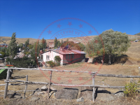 Sivas Merkez Yıldız - S. Ömer Yıldırım Mahallesi Milli Emlak'tan Satılık 600,00 m2 Arsa