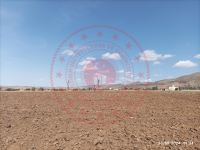 Aksaray Merkez Altınkaya - Merkez Mahallesi Milli Emlak'tan Satılık 1.002,00 m2 Arsa