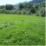 Artvin Şavşat Kocabey Köyü Milli Emlak'tan Satılık 600,23 m2 Tarla