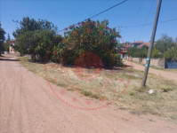 Kırıkkale Delice Kocabaş Köyü Milli Emlak'tan Satılık 230,35 m2 Tarla