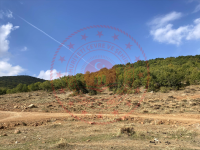 Bingöl Merkez Yolçatı Köyü Milli Emlak'tan Satılık 727,67 m2 Tarla