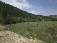 Konya Meram Kızılören Kasabası Milli Emlak'tan Satılık 931,49 m2 Arsa