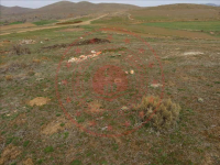 Afyonkarahisar İscehisar Doğanlar Köyü Milli Emlak'tan Satılık 2.957,92 m2 Tarla