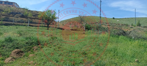 Kırıkkale Delice Halitli Köyü Milli Emlak'tan Satılık 308,94 m2 Tarla