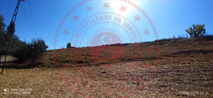 Kırıkkale Balışeyh İzzettinköy Köyü Milli Emlak'tan Satılık 1.261,34 m2 Tarla