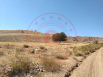 Kırıkkale Delice Karaköseli Köyü Milli Emlak'tan Satılık 8.294,70 m2 Tarla