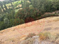 Bitlis Merkez Yolcular (Vervan) Köyü Milli Emlak'tan Satılık 8.267,49 m2 Tarla