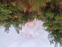 Bursa Osmangazi Gündoğdu Mahallesi Milli Emlak'tan Satılık 7.925,96 m2 Tarla