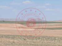 Konya Selçuklu Yukarı Pınarbaşı Mahallesi Milli Emlak'tan Satılık 576,56 m2 Tarla