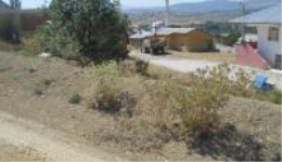 Gümüşhane Şiran Fatih Mahallesi Milli Emlak'tan Satılık 1.096,29 m2 Arsa