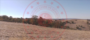 Uşak Eşme Yeşilkavak Köyü Milli Emlak'tan Satılık 5.394,90 m2 Tarla