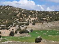 Burdur Merkez Çine Köyü Milli Emlak'tan Satılık 14.319,52 m2 Tarla
