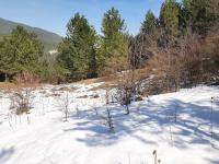 Bolu Mengen Güney Köyü Milli Emlak'tan Satılık 1.110,00 m2 Arsa