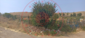 Kırıkkale Delice Halitli Köyü Milli Emlak'tan Satılık 1.036,93 m2 Tarla