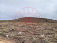 Kayseri Kocasinan Barsama Mahallesi Milli Emlak'tan Satılık 22.411,66 m2 Tarla