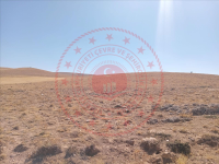 Konya Altınekin Koçyaka Köyü Milli Emlak'tan Satılık 370.699,00 m2 Tarla