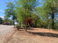 Düzce Merkez Nalbantoğlu Mahallesi Milli Emlak'tan Satılık 435,03 m2 Arsa