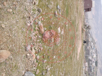 Şırnak Güçlükonak Gümüşyazı Köyü Milli Emlak'tan Satılık 501,06 m2 Tarla