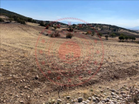 Afyonkarahisar Dinar Avdan Köyü Milli Emlak'tan Satılık 5.000,00 m2 Tarla