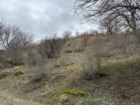 Ankara Çubuk Meşeli Mahallesi Milli Emlak'tan Satılık 365,16 m2 Tarla