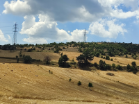 Amasya Merkez Ermiş Köyü Milli Emlak'tan Satılık 3.542,40 m2 Tarla