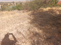 Denizli Acıpayam Çamlık Mahallesi Milli Emlak'tan Satılık 275,69 m2 Arsa