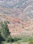 Erzincan İliç Bağlıca Köyü Milli Emlak'tan Satılık 1.888,71 m2 Tarla