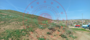 Kırıkkale Delice Halitli Köyü Milli Emlak'tan Satılık 1.281,00 m2 Tarla