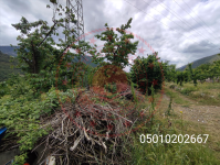 Amasya Merkez Kızseki Köyü Milli Emlak'tan Satılık 27,04 m2 Tarla