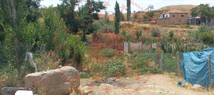 Kırıkkale Delice Halitli Köyü Milli Emlak'tan Satılık 162,30 m2 Tarla