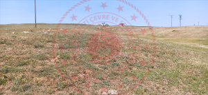 Kırıkkale Balışeyh Bıyıkaydın Köyü Milli Emlak'tan Satılık 1.099,73 m2 Tarla