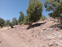 Malatya Hekimhan Dereköy Köyü Milli Emlak'tan Satılık 596,34 m2 Tarla