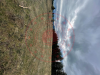 Kastamonu Tosya Kargın Köyü Milli Emlak'tan Satılık 6.497,08 m2 Tarla