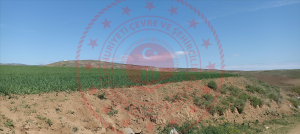 Kırıkkale Delice Halitli Köyü Milli Emlak'tan Satılık 2.063,04 m2 Tarla