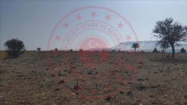 Konya Meram Kızılören Kasabası Milli Emlak'tan Satılık 7.098,11 m2 Arsa