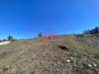 Kastamonu Taşköprü Paşa Köyü Milli Emlak'tan Satılık 455,07 m2 Tarla